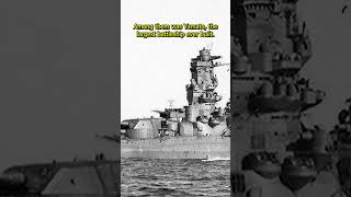 USS Hoel vs the Most Powerful Battleship Ever Built  history shorts fyp [upl. by Micah]