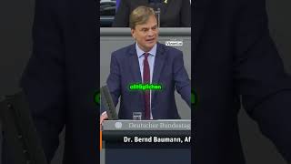 Integration und Gewalt Eine kritische Betrachtungpolitik afd deutschland ampelkoalition cdu [upl. by Nate]