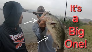 San Diego Power Bfs Bass fishing Sweetwater Reservoir  Fall Season Its a Big One [upl. by Karlis491]