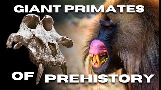 Giant primates of prehistory [upl. by Latsyrhc877]