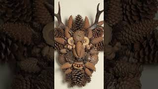 Pine cones and acorns [upl. by Nerb]