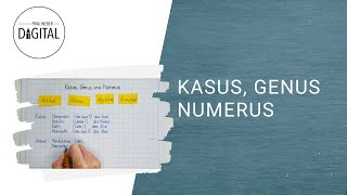 Kasus Genus und Numerus  das bedeuten die Begriffe inkl Arbeitsblatt [upl. by Ydnih678]