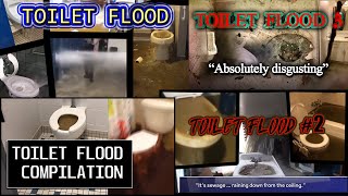 MEGA TOILET FLOOD COMPILATION  SUPER OVERFLOW [upl. by Hallagan]