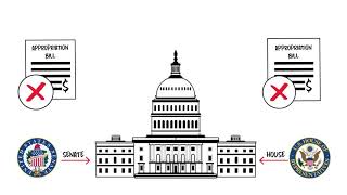 Congressional Appropriations Process [upl. by Anerom]