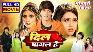 DIL PAGAL HAI I दिल पागल है I SUPERHIT BHOJPURI MOVIE 2024 Ego Prem Deewani Ego Daras Deewani [upl. by Akinyt892]