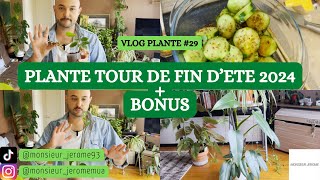 VLOG PLANTE N°29  quotPLANTE TOURquot DE FIN DETE 2024  BONUS [upl. by Nochur]