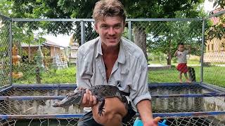 one of the rarest crocodilians on earth siam crocodile [upl. by Olraced445]