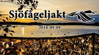 Sjöfågeljakt 20180909 [upl. by Carey]