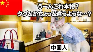 【日本市場優遇の真実】グッチが中国よりも日本を選ぶ理由とは？猫マニ 猫ミーム [upl. by Ayr853]