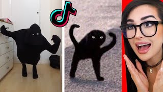 Tik Tok LOOKALIKE Meme Challenge [upl. by Irolam527]