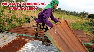 PAG ayos ng bubong sa kural ng baboy [upl. by Noella74]