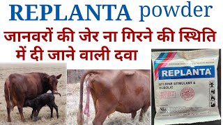 Replanta powder janwaro me kis bimari me use kiya jata hreplanta powder uses benifits in hindi [upl. by Kathe]