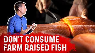 Farm Raised Fish OR Wild Caught Fish Which Is Best To Consume – Dr Berg [upl. by Ahselet718]