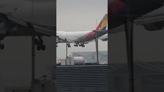 asianaairlines 747 stunning arrival planes aviation airport planespotting shorts fraport [upl. by Macur]