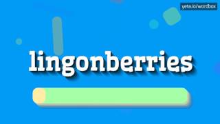 LINGONBERRIES  HOW TO PRONOUNCE LINGONBERRIES lingonberries [upl. by Shantha905]