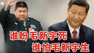 谁盼毛新宇死 谁怕毛新宇生 20180506 No179 [upl. by Kathe]