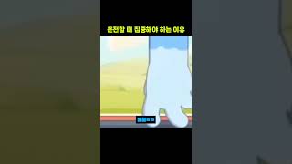 운전할 떄 집중해야 하는 이유 ㅋㅋ 더빙 [upl. by Eerehs]