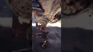 MHW LEGIANA legiana mhw mhworld mhw2024 monsterhunter monsterhunterworld monsterhunt [upl. by Nnylyak]