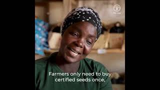 Agrodealers in Mozambique use the FAO Identification Delivery and Empowerment Application IDEA [upl. by Chaffin]