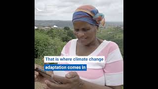 ClimateChange Mitigation vs Adaptation  What is the difference [upl. by Annayar]