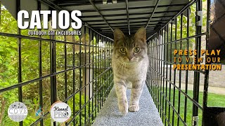 Catio Outdoor Cat Cage Enclosure Systems [upl. by Runkle706]