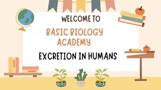 Board Exam Special Series Excretion In Humans [upl. by Aihsemat694]