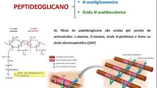 Técnicas de Coloração [upl. by Zischke59]