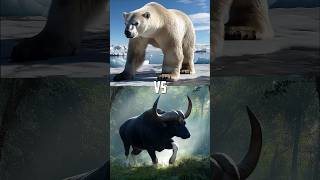 The ultimate battle on land Bears vs Cows [upl. by Minne]