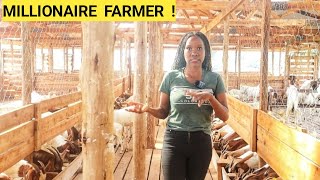 How To Feed GOATS In A Simple Goat Farm Business  Better feeds New kids ROUTINE [upl. by Maximilian985]