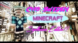 Minecraft OST C418  Sweden Synthwave Vers [upl. by Aicatsal]