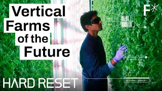 Vertical farms could take over the world  Hard Reset by Freethink [upl. by Ecydnac]