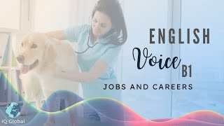 JobsCareers  Intermediate Vocabulary  B1 Level [upl. by Marchese]