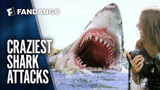 Best Shark Attack Movie Mashup  Movieclips [upl. by Ayat]