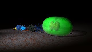 Viruses Size Comparison 4K [upl. by Letti738]