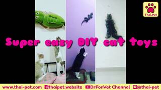 Super easy DIV cat toys  Lizard Games  DrFonVet Channel [upl. by Anina]