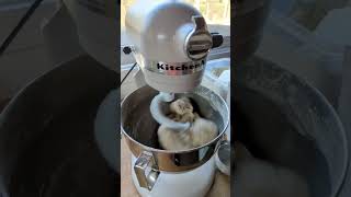 KitchenAid Stand Mixer Dough for Bread shorts recipes [upl. by Yelhsa968]