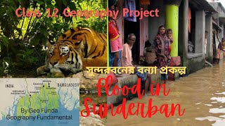 Flood in Sunderban Project ll Class 12 Geography Practical ll সুন্দরবনের বন্যা ll By Geo Funda [upl. by Akcinahs171]