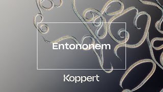 Entonem Koppert [upl. by Anaek]