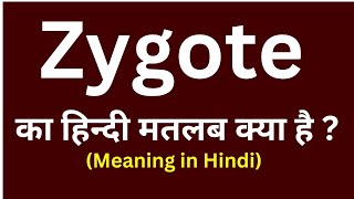 Zygote meaning in hindi  Zygote ka matlab kya hota hai  word meaning daily use word [upl. by Eno405]