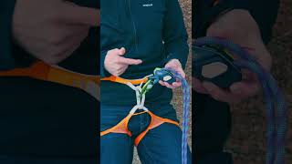 The best new belay device The Edelrid Pinch gymclimbing climbing [upl. by Manvel]