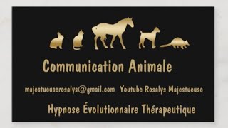 HET 🐶COMMUNICATION ANIMALE HYPNOSE ÉVOLUTIONNAIRE THÉRAPEUTIQUE [upl. by Ramma975]