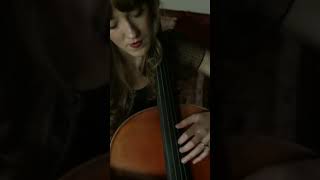 SaintSaëns  The Swan  classicalmusic cello piano [upl. by Suivatco]