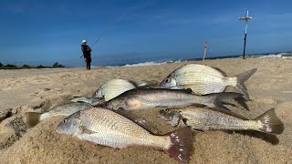 MAR AGITADO É DO QUE OS PEIXES GOSTAM PESCARIA DE PRAIA USANDO ATRATIVOS [upl. by Alaster]