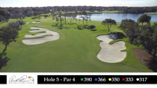 Bay Hill Hole 5 Flyover [upl. by Rednaeel]