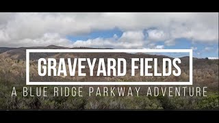 Graveyard Fields Hiking and Fly Fishing  A Blue Ridge Adventure [upl. by Cogen696]