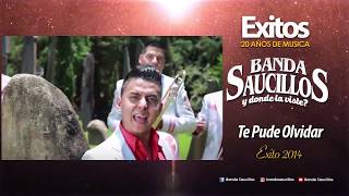 Banda Saucillos  TE PUDE OLVIDAR  Exitos 20 Años de Musica [upl. by Nickolas]