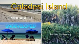 Caladesi Island Florida How to Explore and Stay on This Stunning Island [upl. by Waers858]