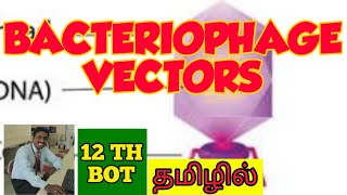 BACTERIOPHAGE VECTORS  TAMIL  BIOTECHNOLOGY  STD 12 [upl. by Rabassa763]