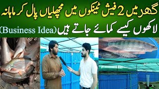 How To Start Fish farming business in Pakistan with biofloc Technology dailypakistan [upl. by Ethelin]