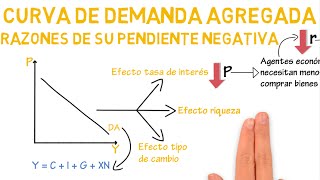 Curva de demanda agregada razones de su pendiente negativa  Cap 31  Macroeconomía [upl. by Eenalem533]